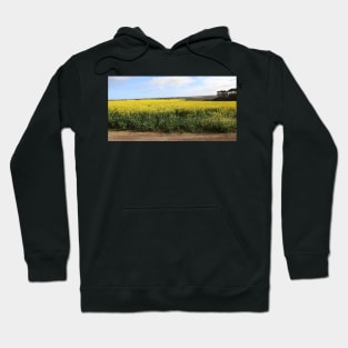 Canola Crop Hoodie